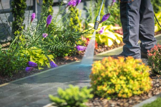 Best Spring Cleaning  in Madeira Beach, FL
